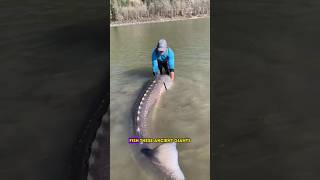How much does the average fish weigh?