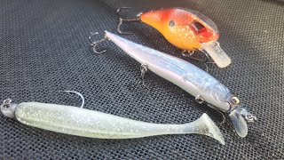 FishGPT