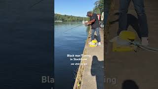 What kind of fish is easy to catch now in Stockholm?