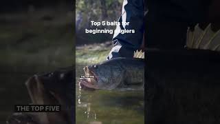 What’s the best bait for bass?