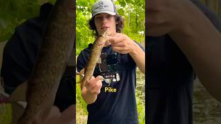 What is the best fishing spot in Newton for pike?