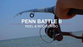 Question is what about this PENN Battle® II Combo, 10' Heavy Fishing Rod, 8000 Size Reel