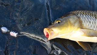 what are the 360 rigs used for carp fishing