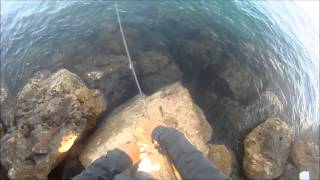 What are the best locations for shore jigging palamitas in sicily