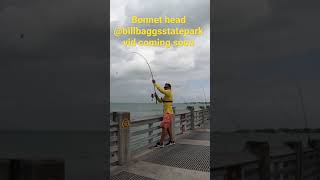 What are the best lures to use for snook in Key Biscayne