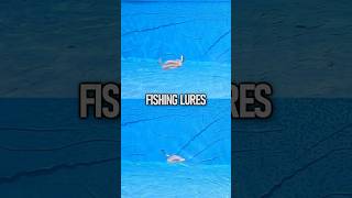 What are the place locations and month to catch leerfish in Sicily?