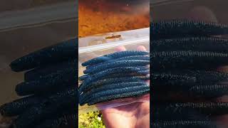 Question is what are the top bates to use currently on still water