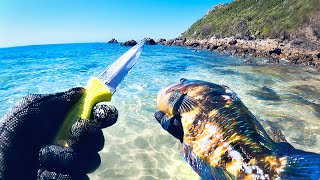 What fillet knife does Rokkit kit use