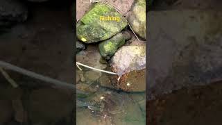 What fish can be caught in Mui Wo?