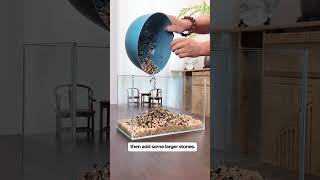 What fish can live in a 5.5-gallon tank? I want photos, please.