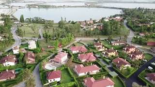 What fishes are in Isola di Albarella, Fiordi di Diamante
