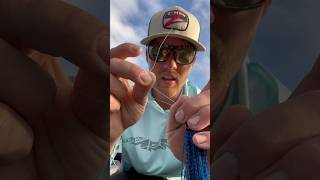 what is a better setup for stocked trout fishing, a 12lb mono main line with a 6 fluoro leader line, a 10lb mono main line with a 6lb fluoro leader, or a 10lb mono main line with a 12lb mono leader? I will be using a carolina rig setup, fishing a murkey pond, and using powerbair with a size 6 hook.