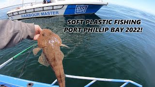 What is the best bait for flathead in Port Phillip Bay?