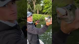 What is the best fish to catch in Turkey?