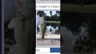 Question is what is the best fish to try to catch in December?