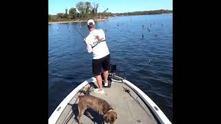 What lures should I try this Saturday at Lake Fork?