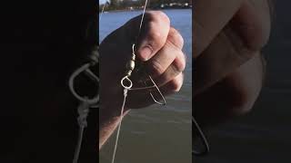 What rivers are good for catfish and bass?