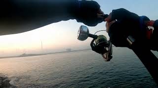 What rod should I get for a snapper with a 4000 or 5000 reel?