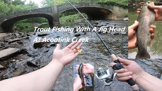 Brook trout jig sizes for small streams quick guide
