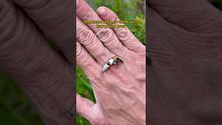 What size jighead for 2.5 inch soft plastic on mitchell River?