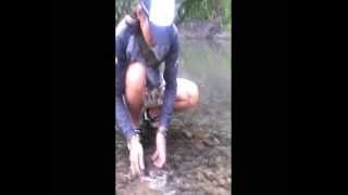 What time do we need to go tomorrow for Hampala fishing?