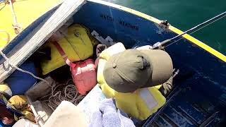 What type of fish will I catch off Indented Head?