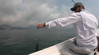 What type of lure should i use in Hong Kong for inshore fishing from a boat?
