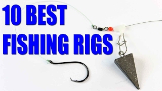 What is the best bait for fish?