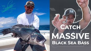 What’s the best fish to catch in spring in Black Sea