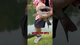 What's the best way to catch catfish in the winter in a very small Texas pond