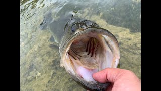 Question is when and where is the best place to fish freshwater bass in Florida?