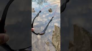 when is da best time to catch rays