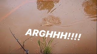 Question is when your lure dangling out of the water can a fish eat the whole thing