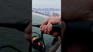 Where are some good fishing spots in Discovery Bay, Hong Kong?