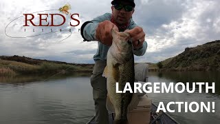 Where can I catch big largemouth bass fish in Fort Lauderdale, Florida?