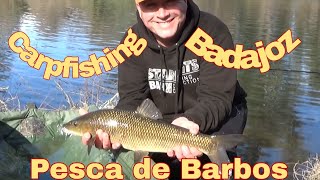Where can i fish barbel in badajoz