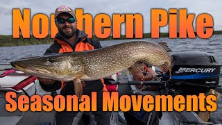 Where do I find northern pike in the fall