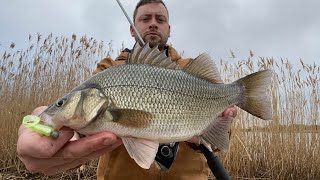 Where in Staten Island can I go white perch fishing