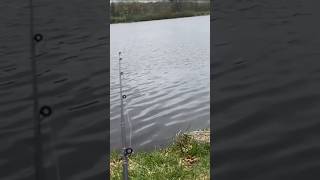 Question is Where in the pond should I cast