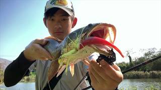 Where is the Best place for fishing in Hong Kong?