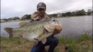 Where to catch the largest largemouth bass in the world?