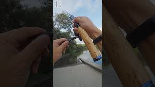 Question is where to fish in hong kong