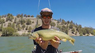 Where to fly fish now in New Mexico