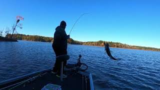 Where will the fish be on Falls Lake NC in October?