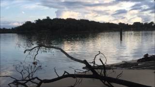 wheres the best spot to go fishing in bongaree