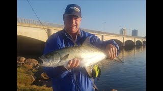 Question is will this work for drop shot targeting perch