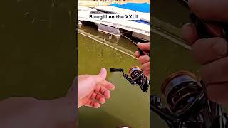 What is the best ultralight rod and reel combo under $50 with IM6 graphite, and not Sougayilang or other low-quality brands?
