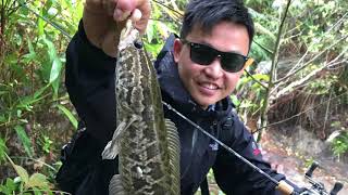 Which reservoir in HK is good for fishing?