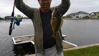 What is the best spot to fish in Sanctuary Lakes, Melbourne, Australia?