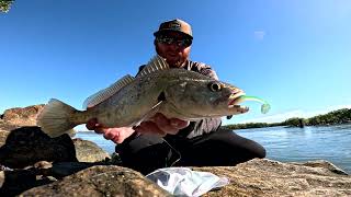 What are some good places to go fishing around Brisbane?